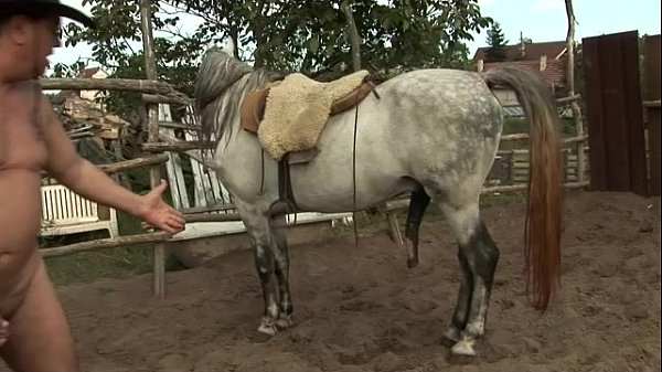 Gefickt mädchen pferd wird vom Normandie: herrliche
