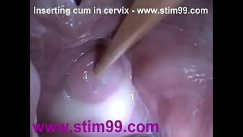 Play Insert an extremely large piece of plastic into her very wide pussy